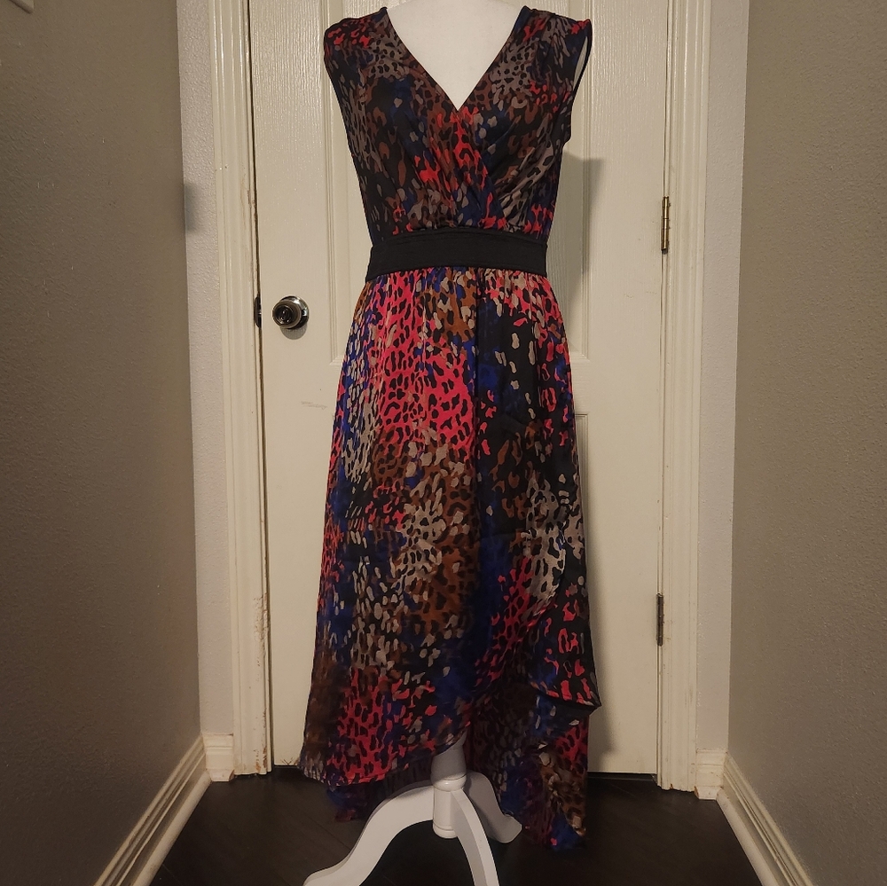 Animal Print Dress